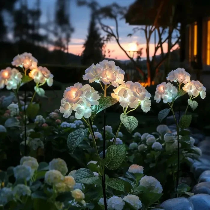 Solar Hydrangea Garden Lights – Flower Clusters That Glow Softly After Dark