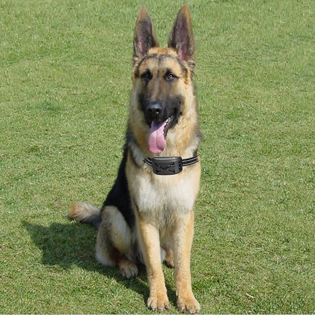 FidoFence Pro Wireless Dog Fence System With Collar, 9–240m 1