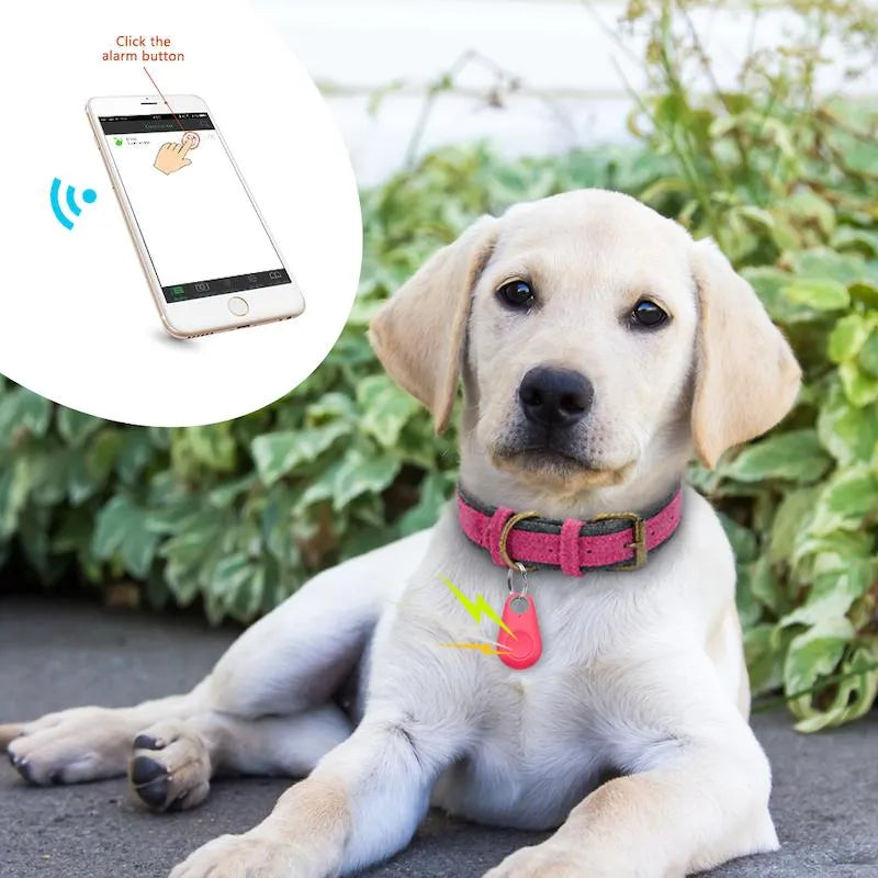 GPS Tracker for Pets 1