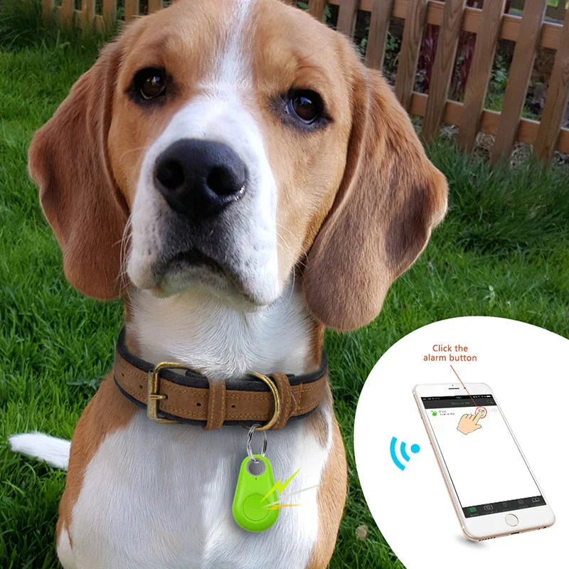 GPS Tracker for Pets 2