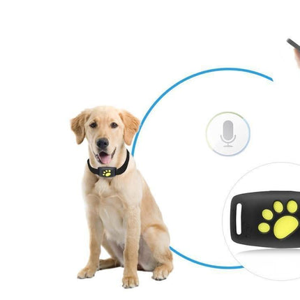 Pet Tracker for Dogs & Cats – Compact Collar Tag with App Location & Long Battery Life