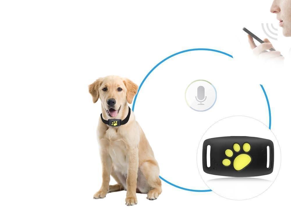 Pet Tracker for Dogs & Cats – Compact Collar Tag with App Location & Long Battery Life