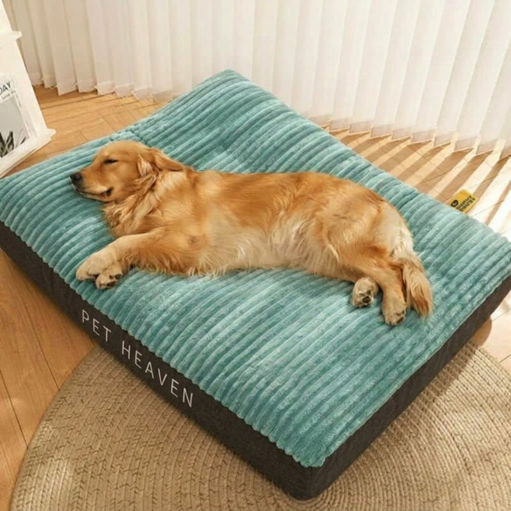 Dog Bed – Large Scratch-Resistant Design, Raised Bolsters & Removable Cover