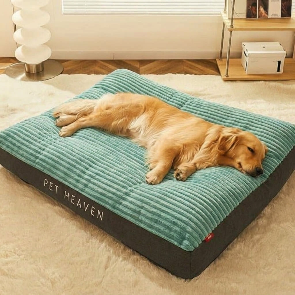 Dog Bed – Large Scratch-Resistant Design, Raised Bolsters & Removable Cover