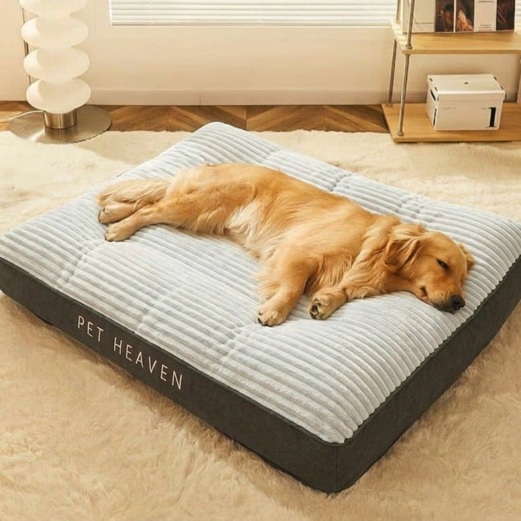 Dog Bed – Large Scratch-Resistant Design, Raised Bolsters & Removable Cover