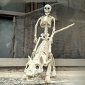 Halloween Skelet Decoratieset 3pcs 0