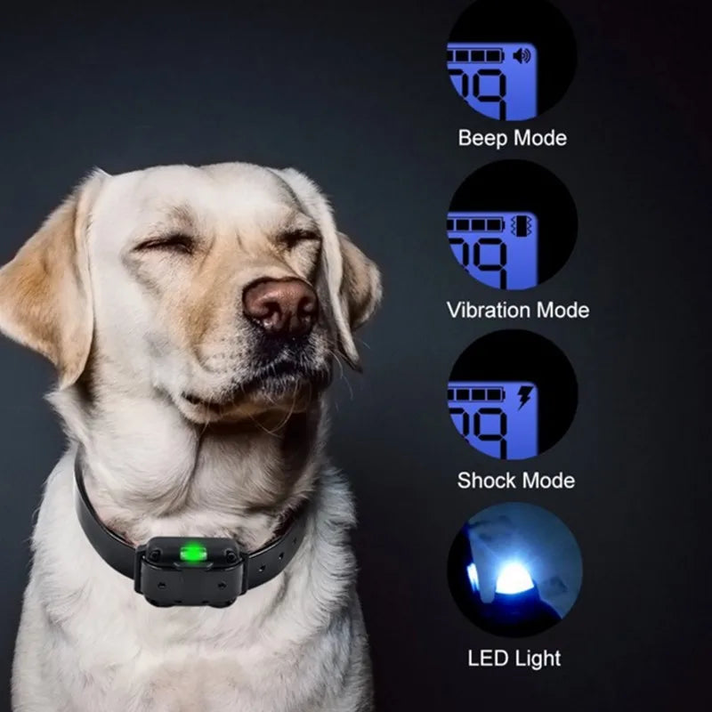 Dog training collar