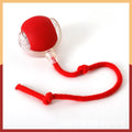 Interactive Game Ball with Tail for Cats 0