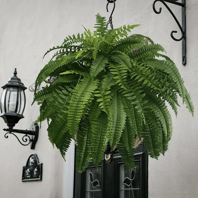 Kalsten | UV Resistant Artificial Boston Fern | Lifelike, Waterproof & Maintenance-Free for Outdoor Décor 1