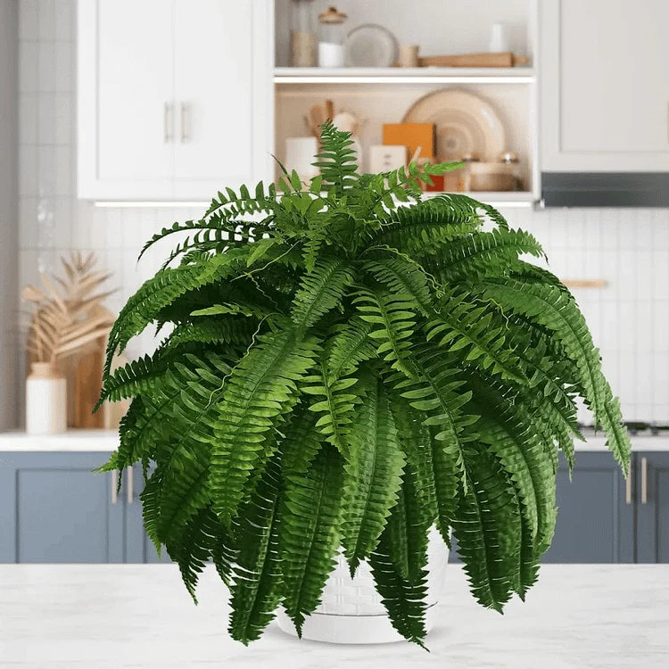 Kalsten | UV Resistant Artificial Boston Fern | Lifelike, Waterproof & Maintenance-Free for Outdoor Décor 3