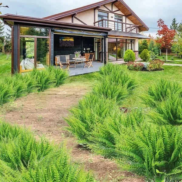 Kalsten | UV Resistant Artificial Boston Fern | Lifelike, Waterproof & Maintenance-Free for Outdoor Décor 6