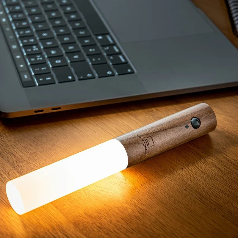 Modern Torch Motion Light 5