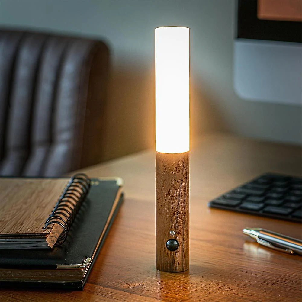 Modern Torch Motion Light 6