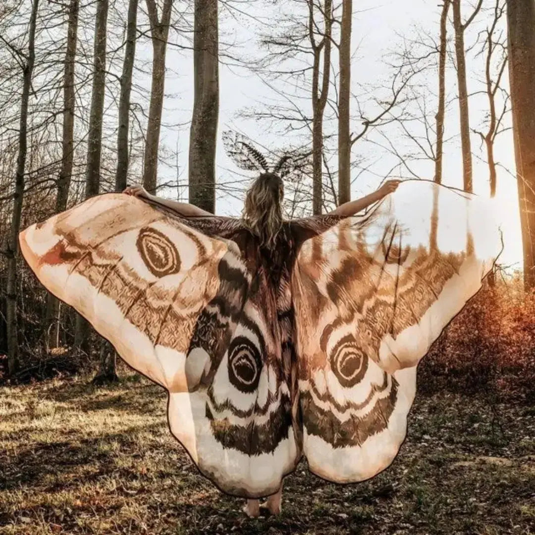 Nachtvlinder Cape Grey Moth – Elegante Vleugelomhang voor Creatieve Momenten | Sansoti 1