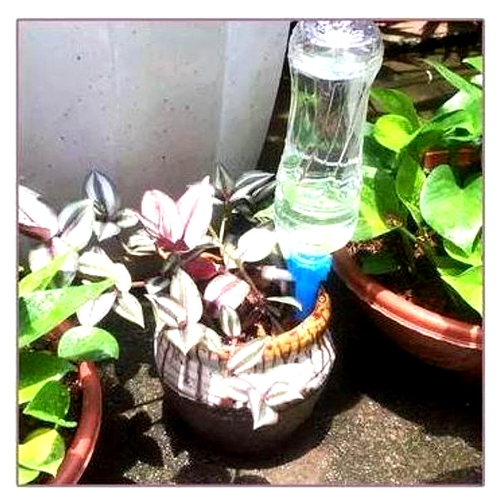 Niki | Self-Watering Plant Spikes - Adjustable Flow 3