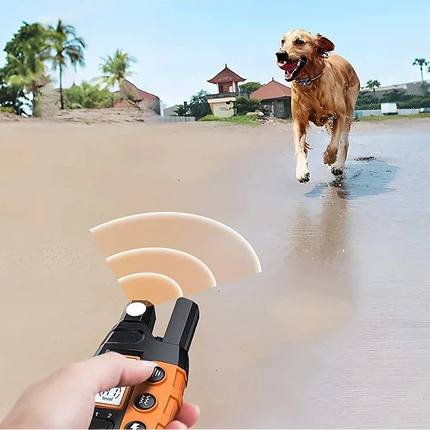 NovaPace 1000m Remote Dog Training Collar, Waterproof 1