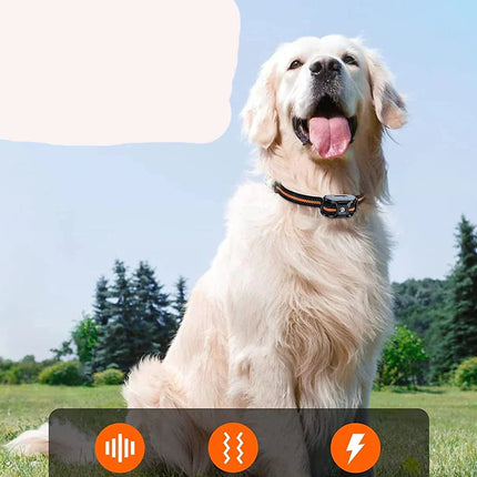 NovaPace 1000m Remote Dog Training Collar, Waterproof 6