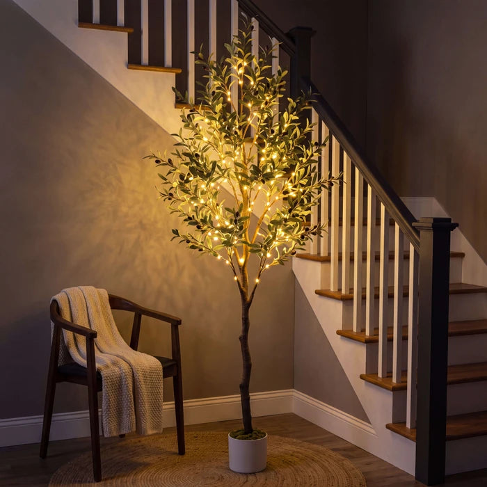 Lighted Olive Tree – Fairy Lights Among Green Olive Leaves for Cozy Corners