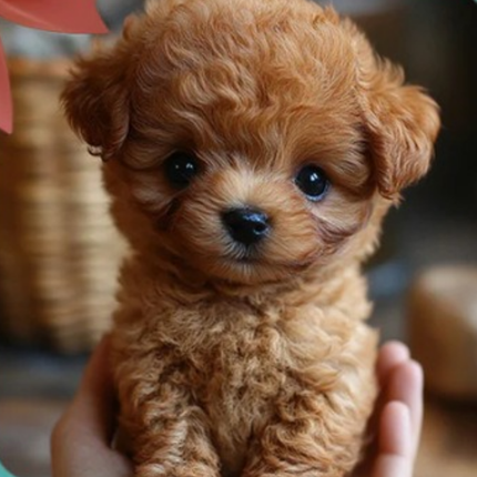 Plush Toy Interactive Dog Realistic Moving Soft Puppy 7