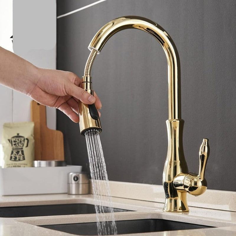 Pull-Out Kitchen Tap - FlexFlow 6