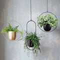 Suspension pour plante – Design métallique minimaliste avec finition durable en poudre
