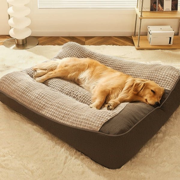 Dog Bed – Large Scratch-Resistant Design, Raised Bolsters & Removable Cover