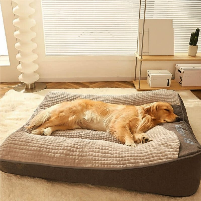 Panier pour chien – Grand modèle résistant aux griffures, bords surélevés et housse amovible