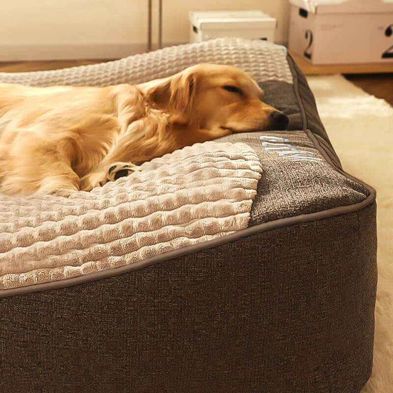 Panier pour chien – Grand modèle résistant aux griffures, bords surélevés et housse amovible