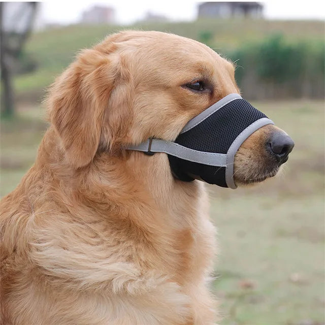 SoftSnout | Stop blaffen en bijten met gemak 4