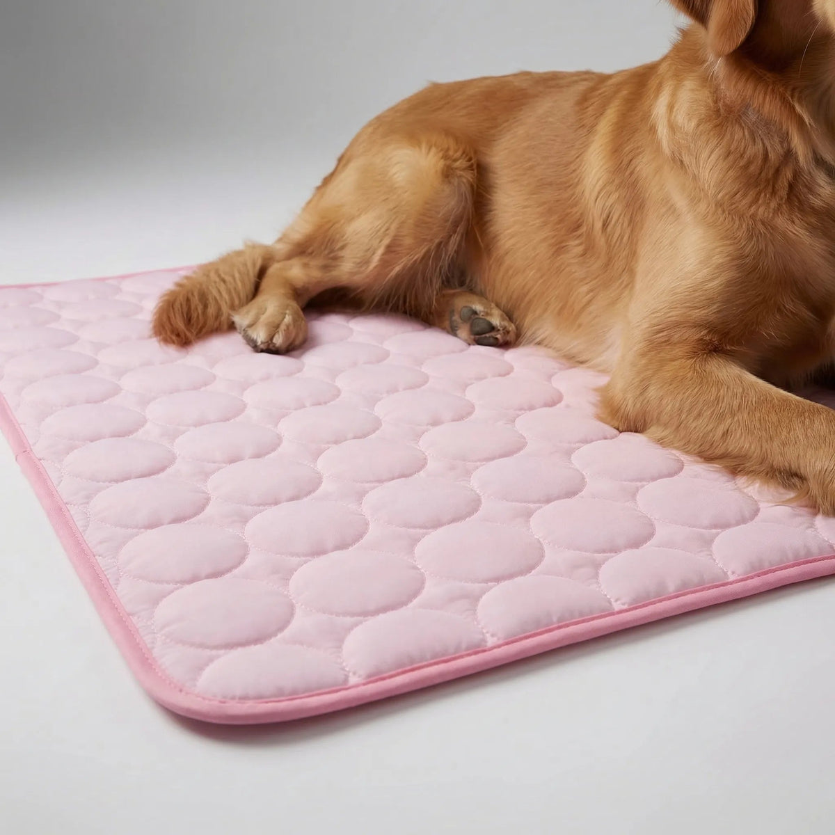 Thrives Outdoor | Chillpaw Quilted Cooling Mat For Pets 9