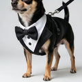 Thrives Outdoor | Pawxedo Adjustable Bow Tie Vest Harness 0