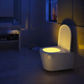 Toilet Night Light 0