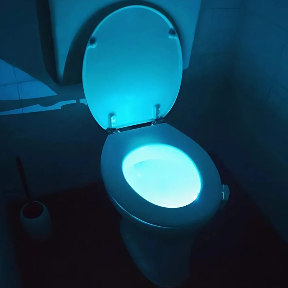 Toilet Night Light 1
