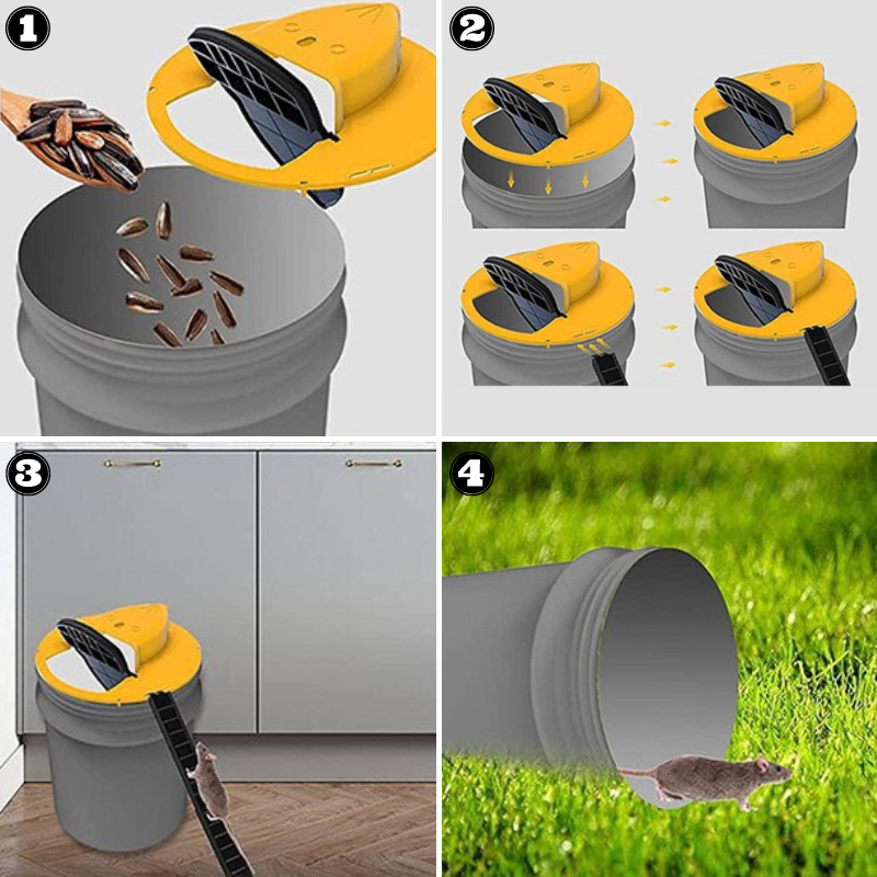 Piège à Souris avec Couvercle de Seau – Design Réutilisable Multi-Captures avec Installation Sans Outils