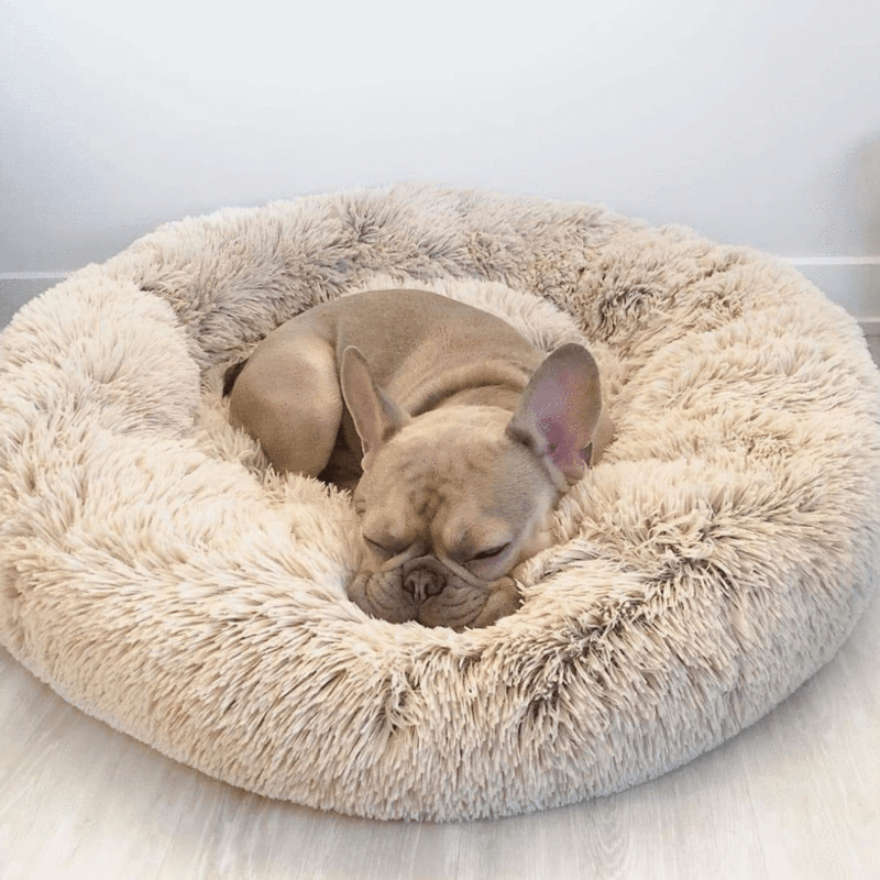Coussin-lit pour chien – Design doux en peluche avec fond antidérapant et housse lavable