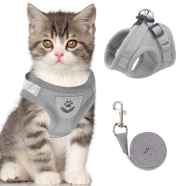 Verstelbaar, ademend en lichtgevend kattentuigje met riem 3