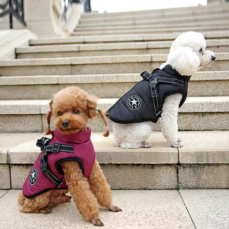 Windproof and Waterproof Dog Jacket with Integrated Harness 1