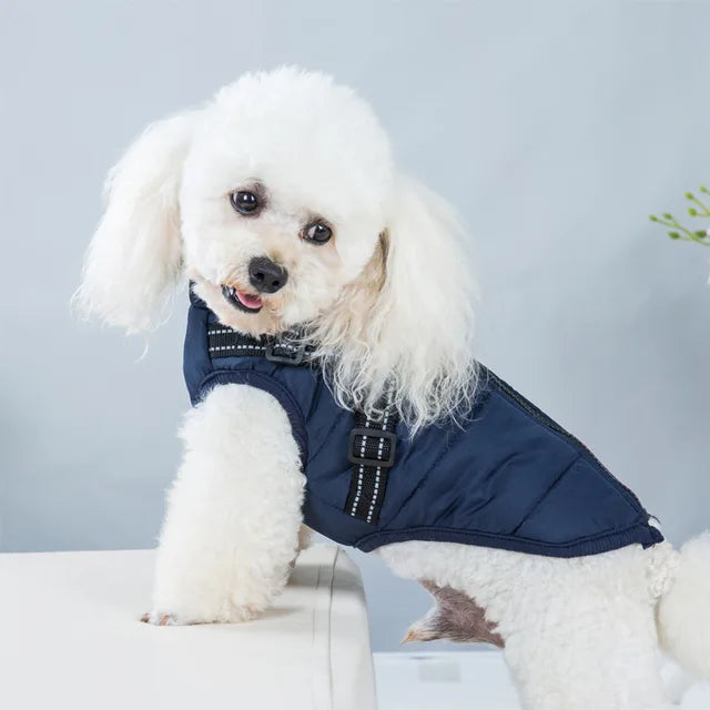 Windproof and Waterproof Dog Jacket with Integrated Harness 10