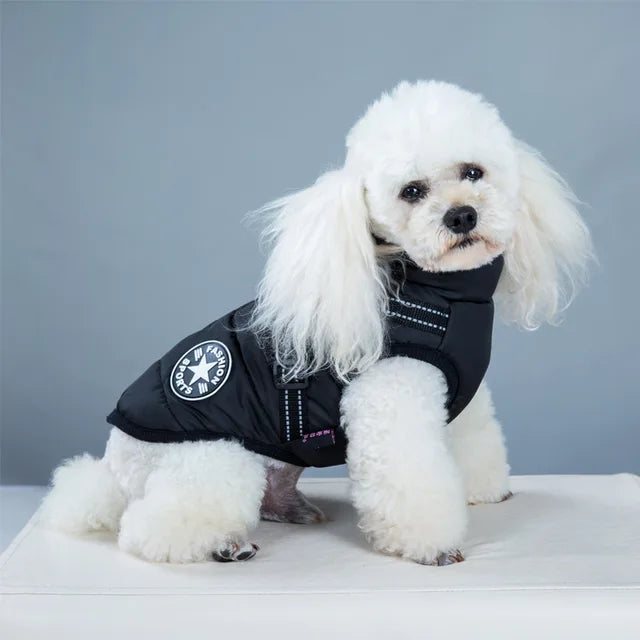 Windproof and Waterproof Dog Jacket with Integrated Harness 4
