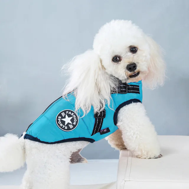 Windproof and Waterproof Dog Jacket with Integrated Harness 8