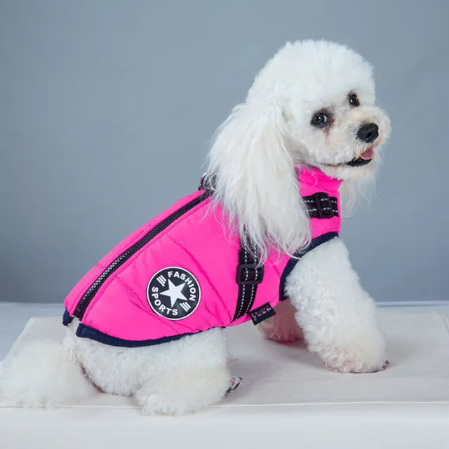Windproof and Waterproof Dog Jacket with Integrated Harness 9