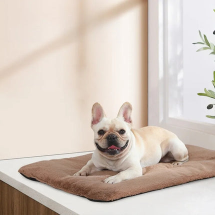 Zelfverwarmend kussen voor huisdieren - comfortabel en veilig 2