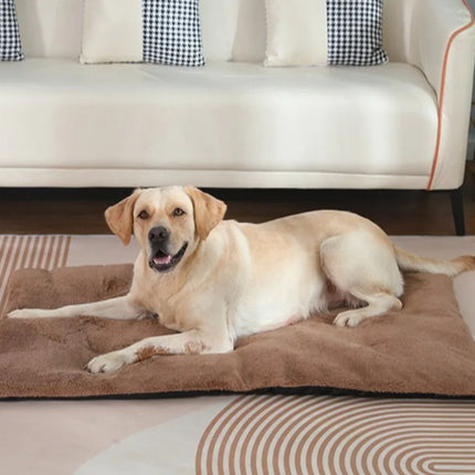 Zelfverwarmend kussen voor huisdieren - comfortabel en veilig 3