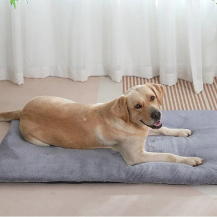 Zelfverwarmend kussen voor huisdieren - comfortabel en veilig 4