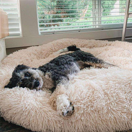 Dog Cushion Bed – Soft Plush Design with Non-Slip Bottom & Washable Cover