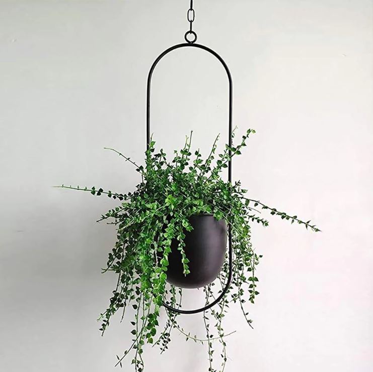 Floravia Planteophæng – Elegant & Vejrbestandigt Design til Indendørs og Udendørs Brug