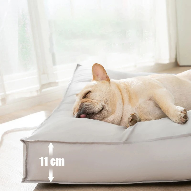 Orthopedic Dog Cushion – Memory Foam Support with Waterproof & Scratch-Resistant Cover for Everyday Comfort