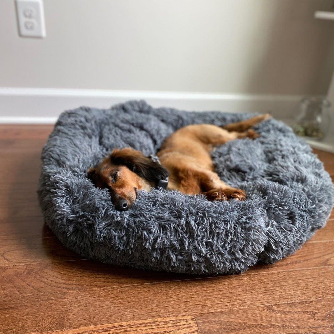Coussin-lit pour chien – Design doux en peluche avec fond antidérapant et housse lavable